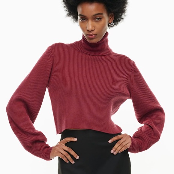 Wilfred Sweaters - 133 - Wilfred Aritzia Women’s Rebecca Turtleneck Merino Wool Turtleneck Sweater